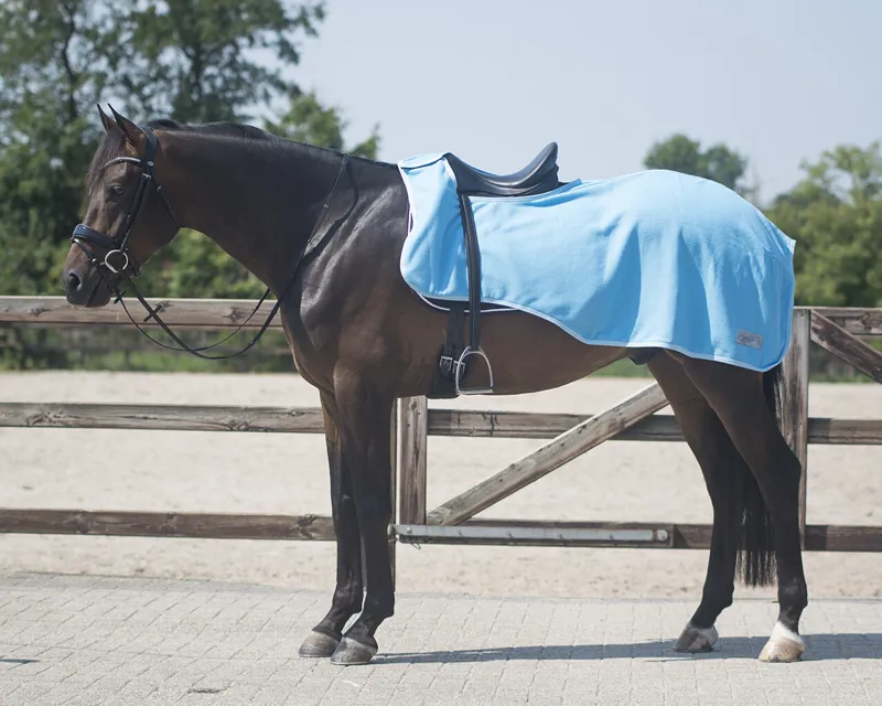 QHP Fleece Exercise Sheet in Sky Blue